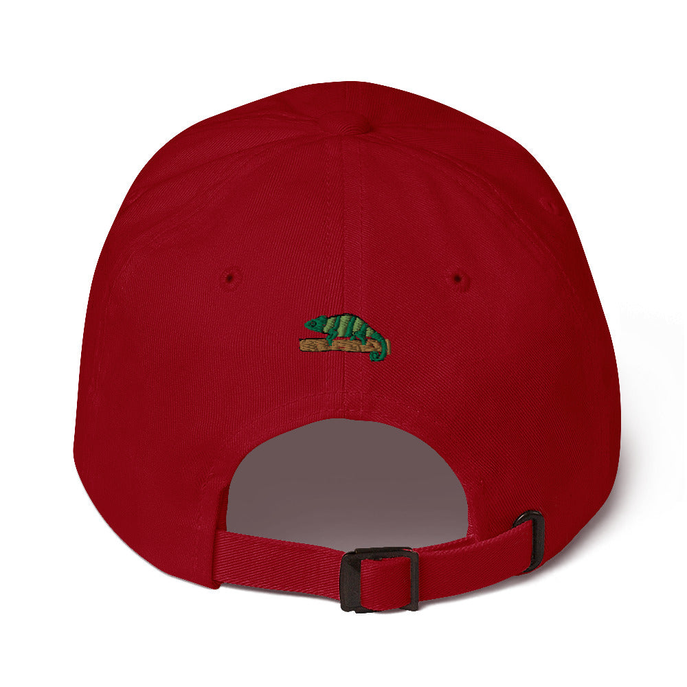 ZDY Classic Chameleon Hat