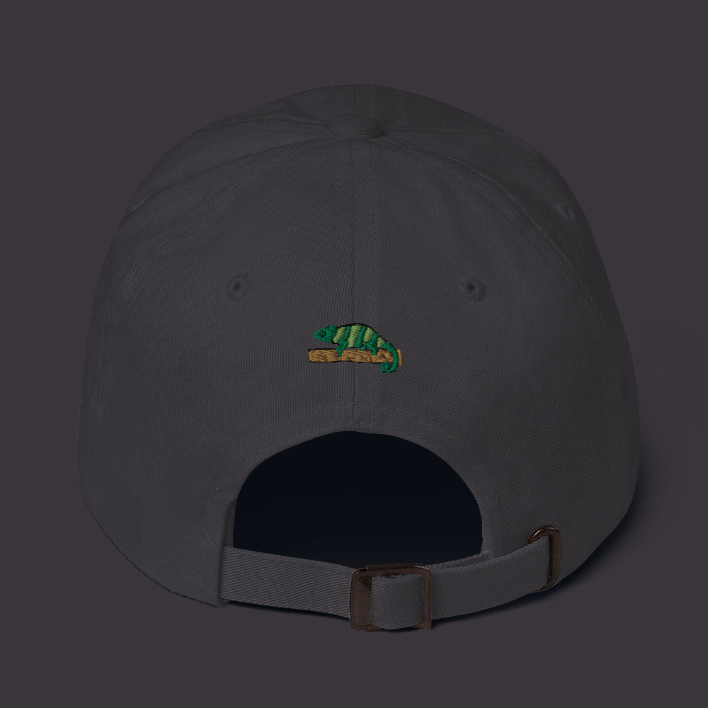 ZDY Classic Chameleon Hat