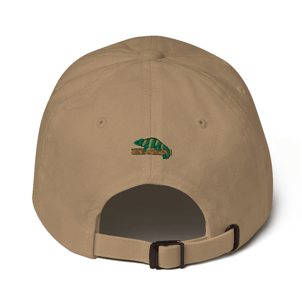 ZDY Classic Chameleon Hat