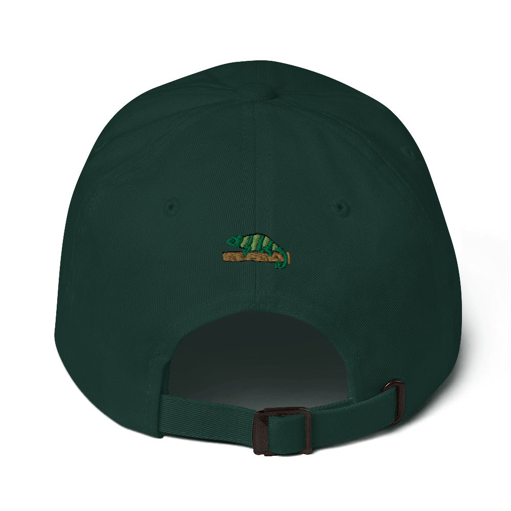 ZDY Classic Chameleon Hat