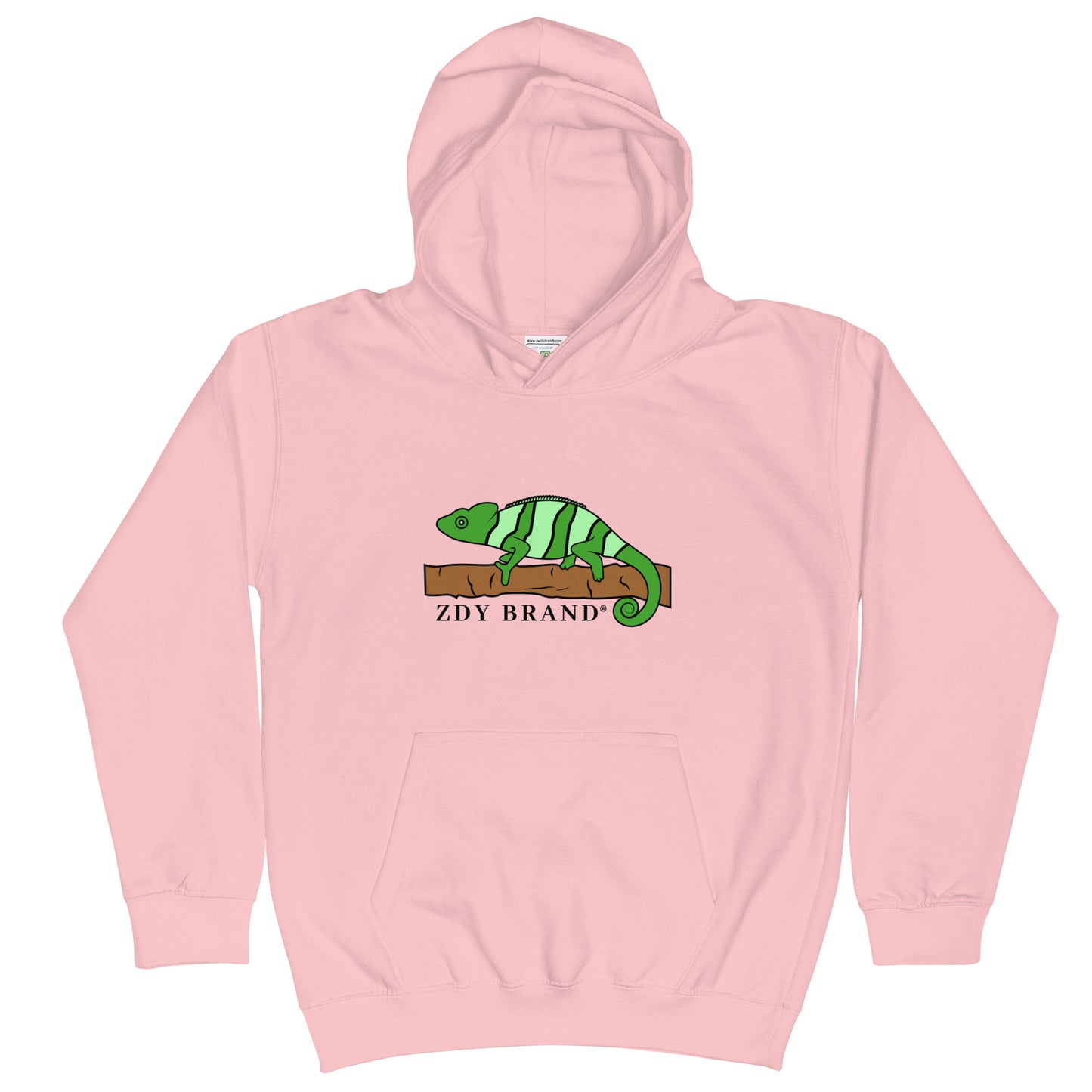 Kids ZDY Chameleon Hoodie