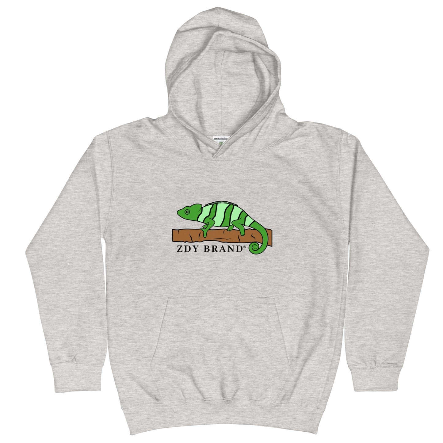 Kids ZDY Chameleon Hoodie