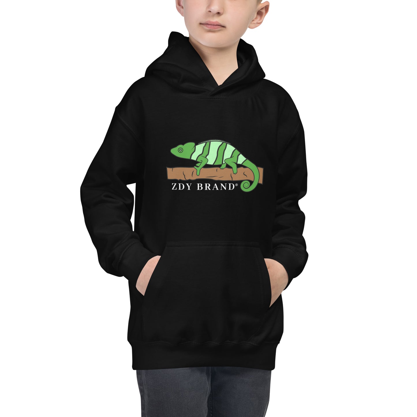 Kids ZDY Chameleon Hoodie