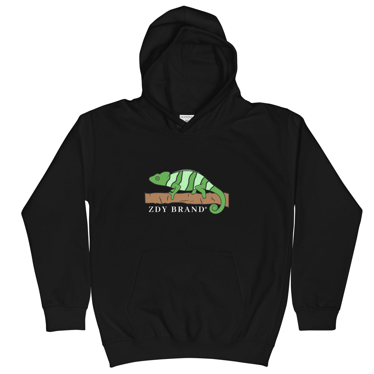 Kids ZDY Chameleon Hoodie